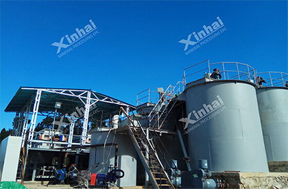 100TPD Gold Elution Plant in Indonesia
